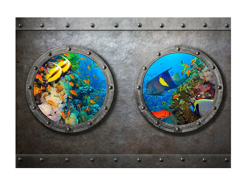 Papier Peint "Window To the Underwater World" 70 x 100 cm