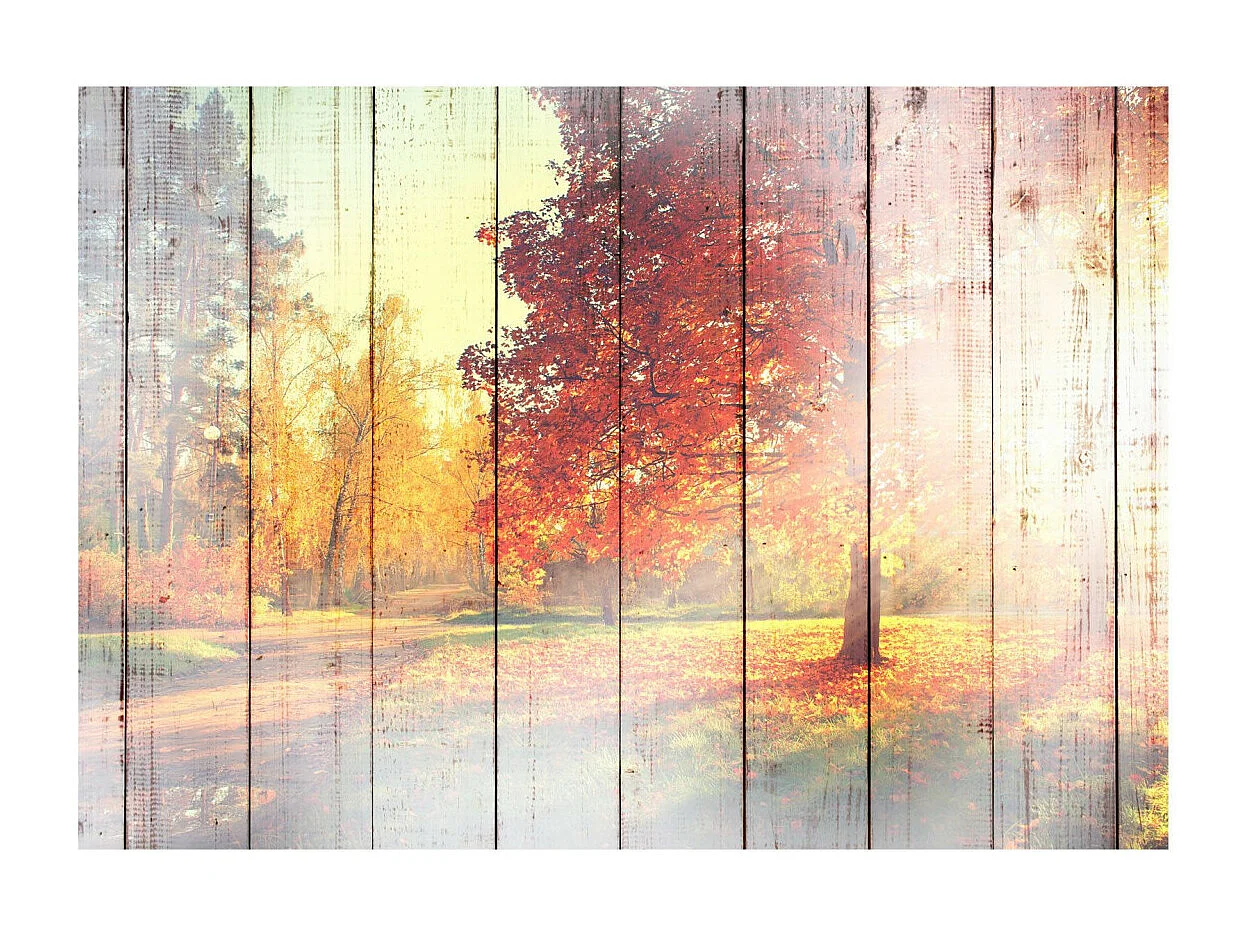 Papier Peint "Autumn Sun" 245 x 350 cm