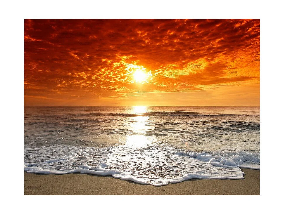 Papier Peint "Quel Merveilleux Coucher de Soleil!" 231 x 300 cm