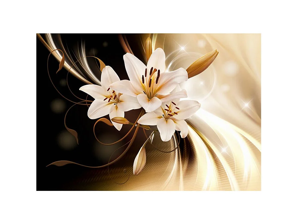 Papier Peint "Circle of Light" 70 x 100 cm