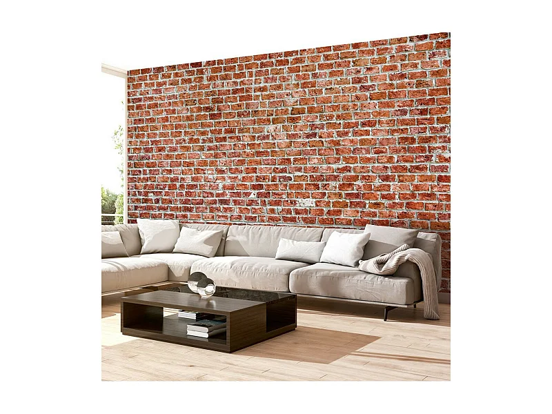 Papier Peint "Red Rock" 280 x 400 cm