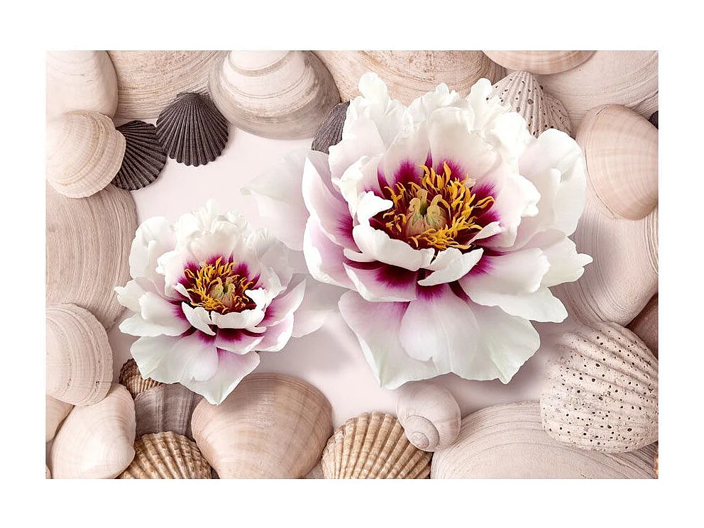 Papier Peint "Flowers & Shells" 245 x 350 cm