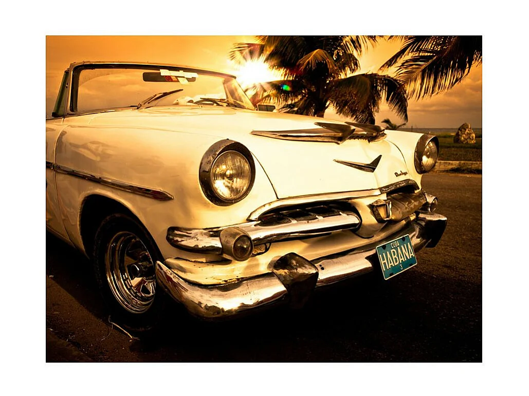 Papier Peint "Viva Havana!" 231 x 300 cm