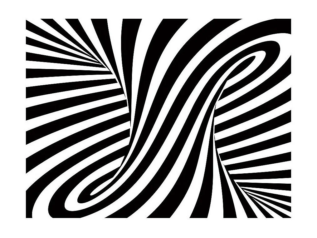 Papier Peint "Art Optique : Noir & Blanc" 231 x 300 cm