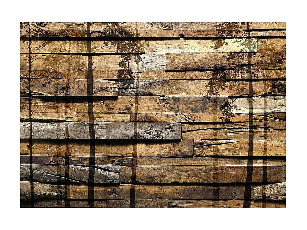 Papier Peint "Shadow of Trees" 245 x 350 cm