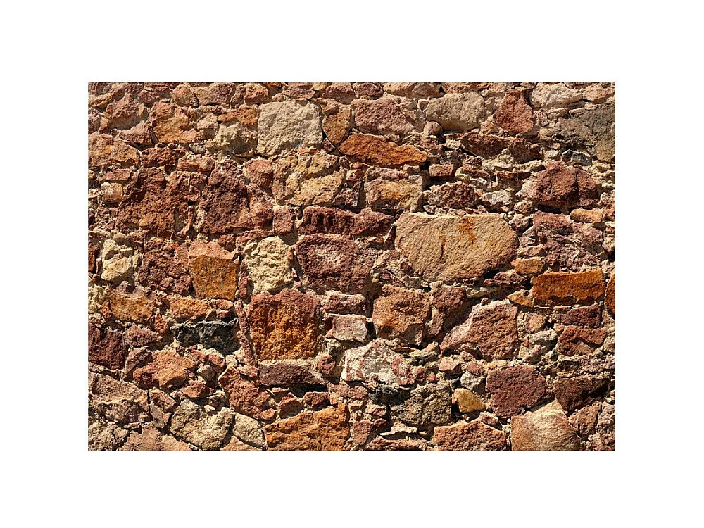 Papier Peint "Solar Armor" 175 x 250 cm