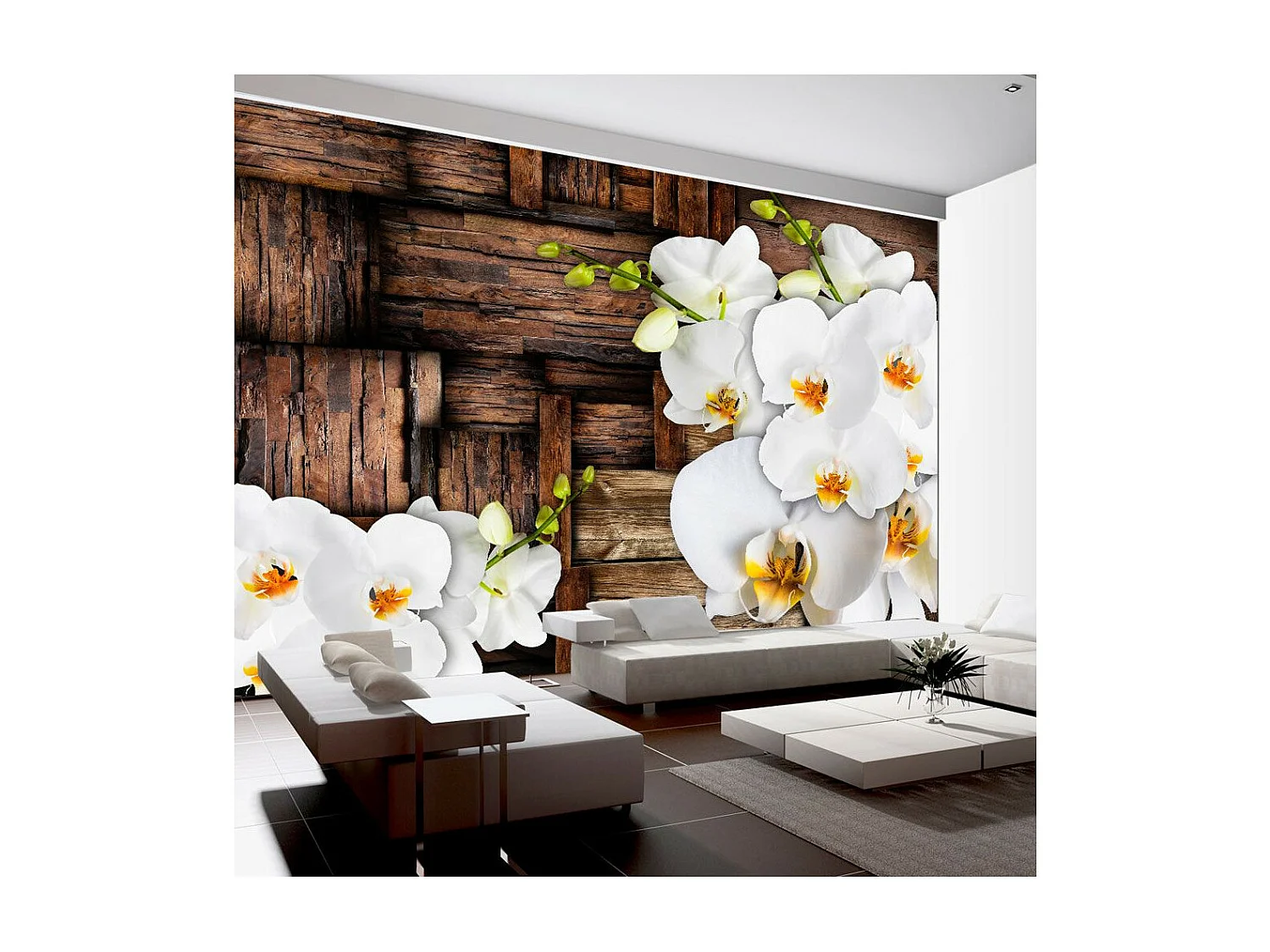 Papier Peint "Blooming Orchids" 175 x 250 cm