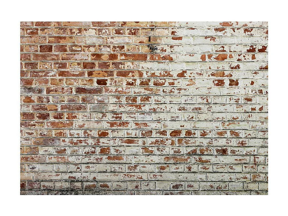 Papier Peint "Walls of Memory" 210 x 300 cm