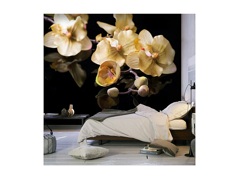 Papier Peint "Orchids in Ecru Color" 231 x 300 cm