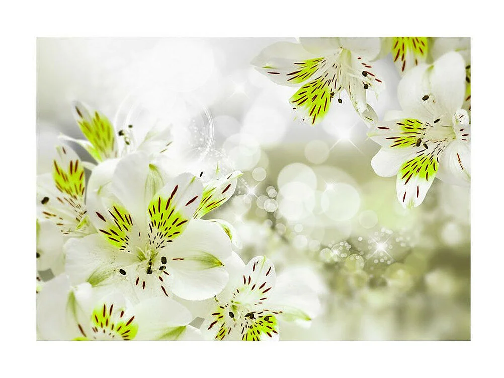 Papier Peint "Southern Princess" 245 x 350 cm