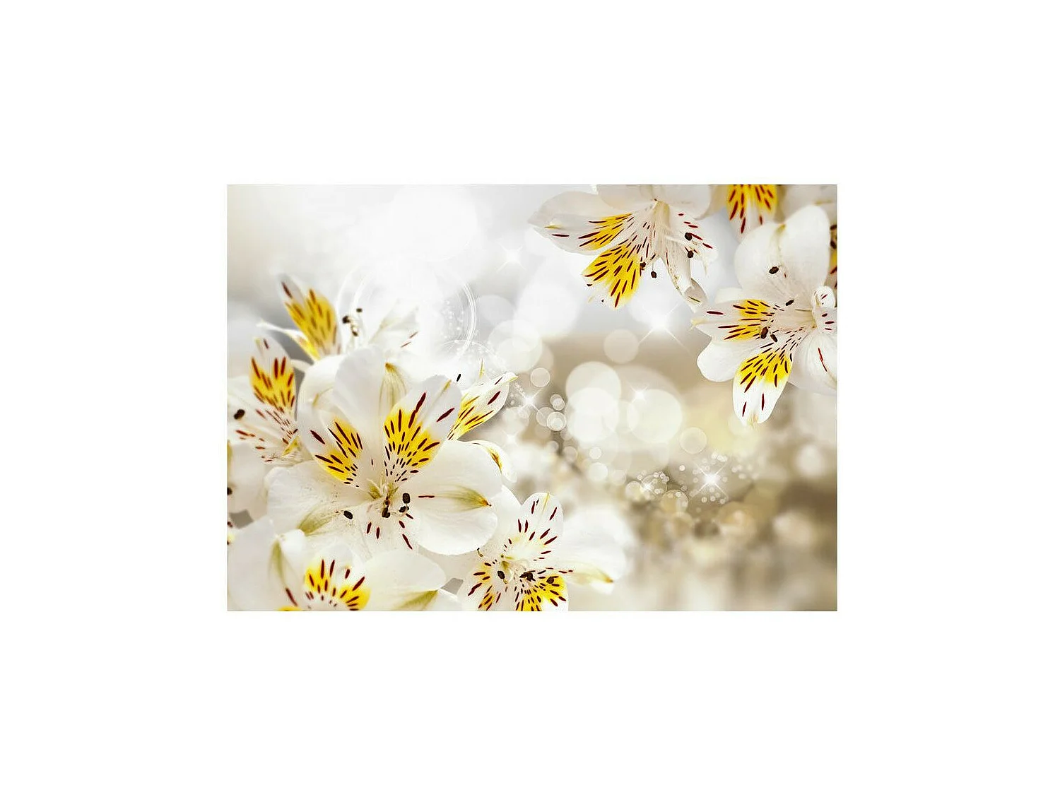 Papier Peint "Sunny Alstroemeria" 105 x 150 cm