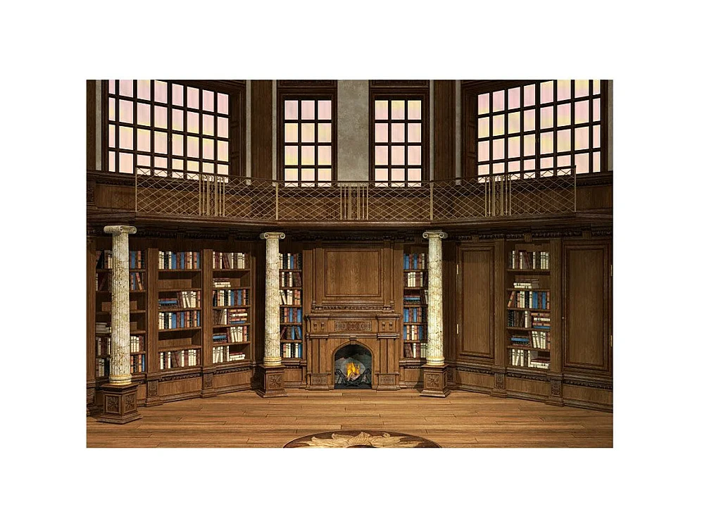 Papier Peint "Library of Dreams" 210 x 300 cm