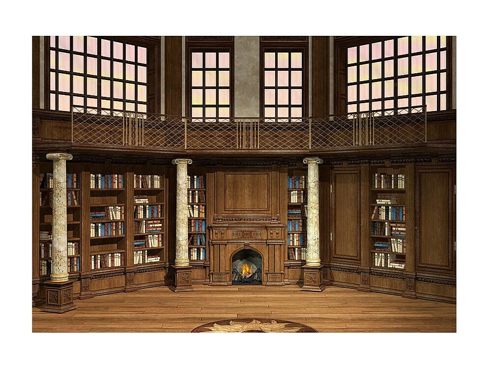 Papier Peint "Library of Dreams" 210 x 300 cm