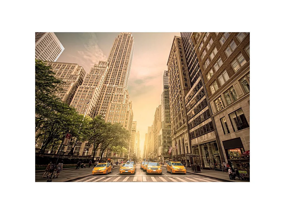 Papier Peint "In the Shadow of Skyscrapers" 245 x 350 cm