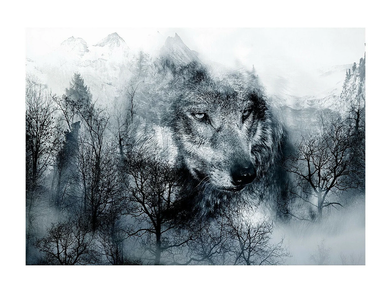 Papier Peint "Mountain Predator Black & White" 175 x 250 cm