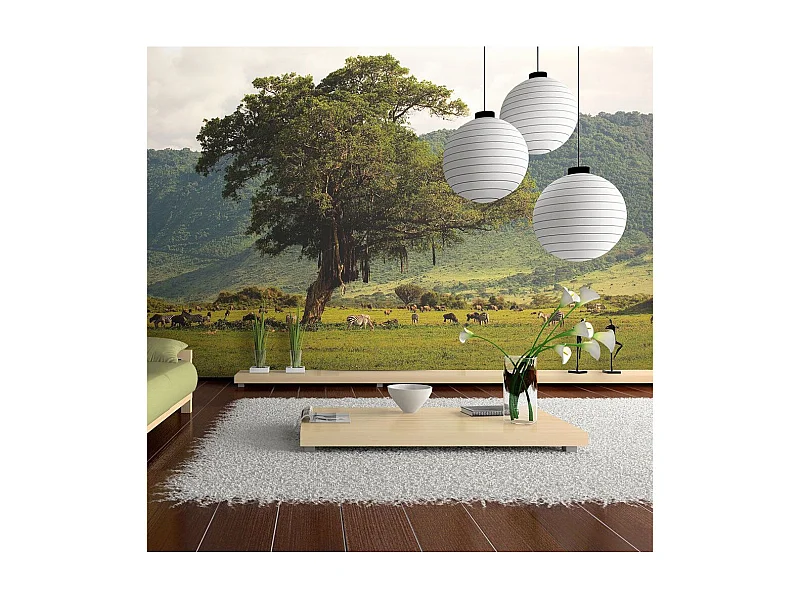 Papier Peint "In a Crater of Ngoro Ngoro" 193 x 250 cm