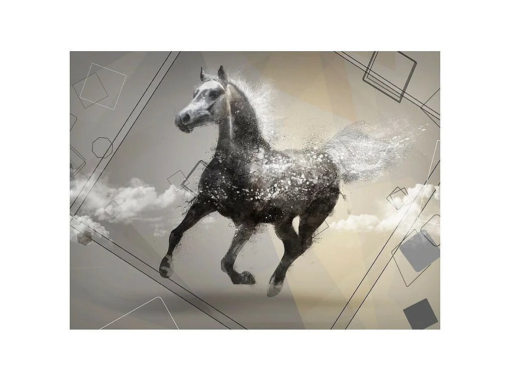 Papier Peint "Escape Into Dreams" 270 x 350 cm