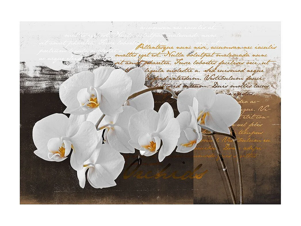 Papier Peint "Sentimental Thoughts" 210 x 300 cm