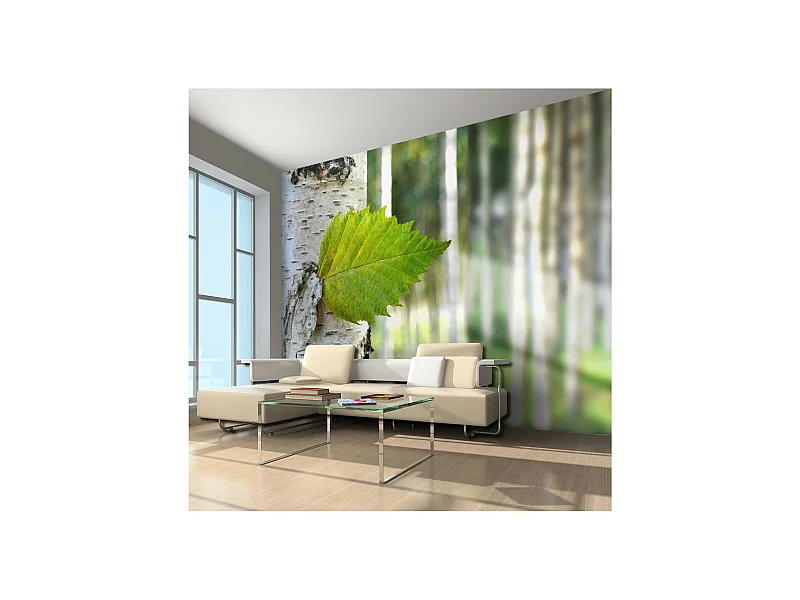 Papier Peint "Feuille de Bouleau" 270 x 350 cm