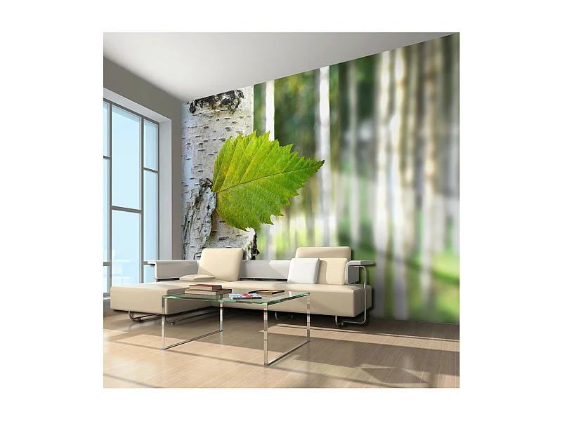 Papier Peint "Feuille de Bouleau" 270 x 350 cm