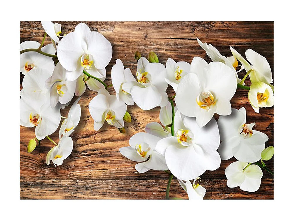 Papier Peint "Forest Orchid" 210 x 300 cm