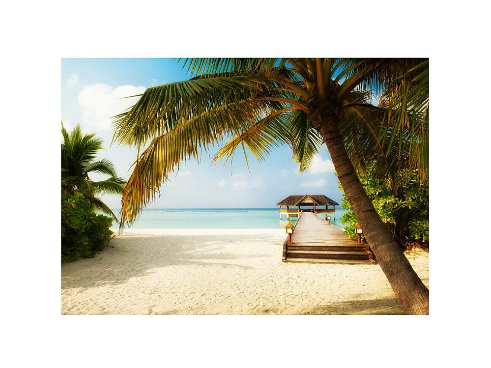 Papier Peint "Paradise Beach" 245 x 350 cm