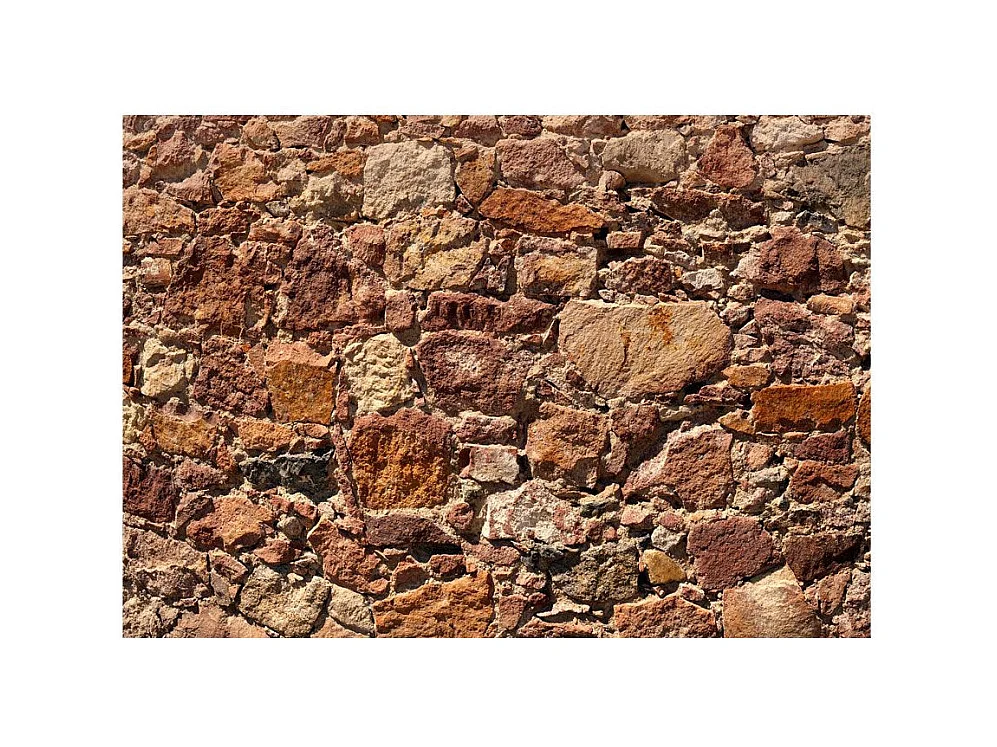 Papier Peint "Solar Armor" 105 x 150 cm