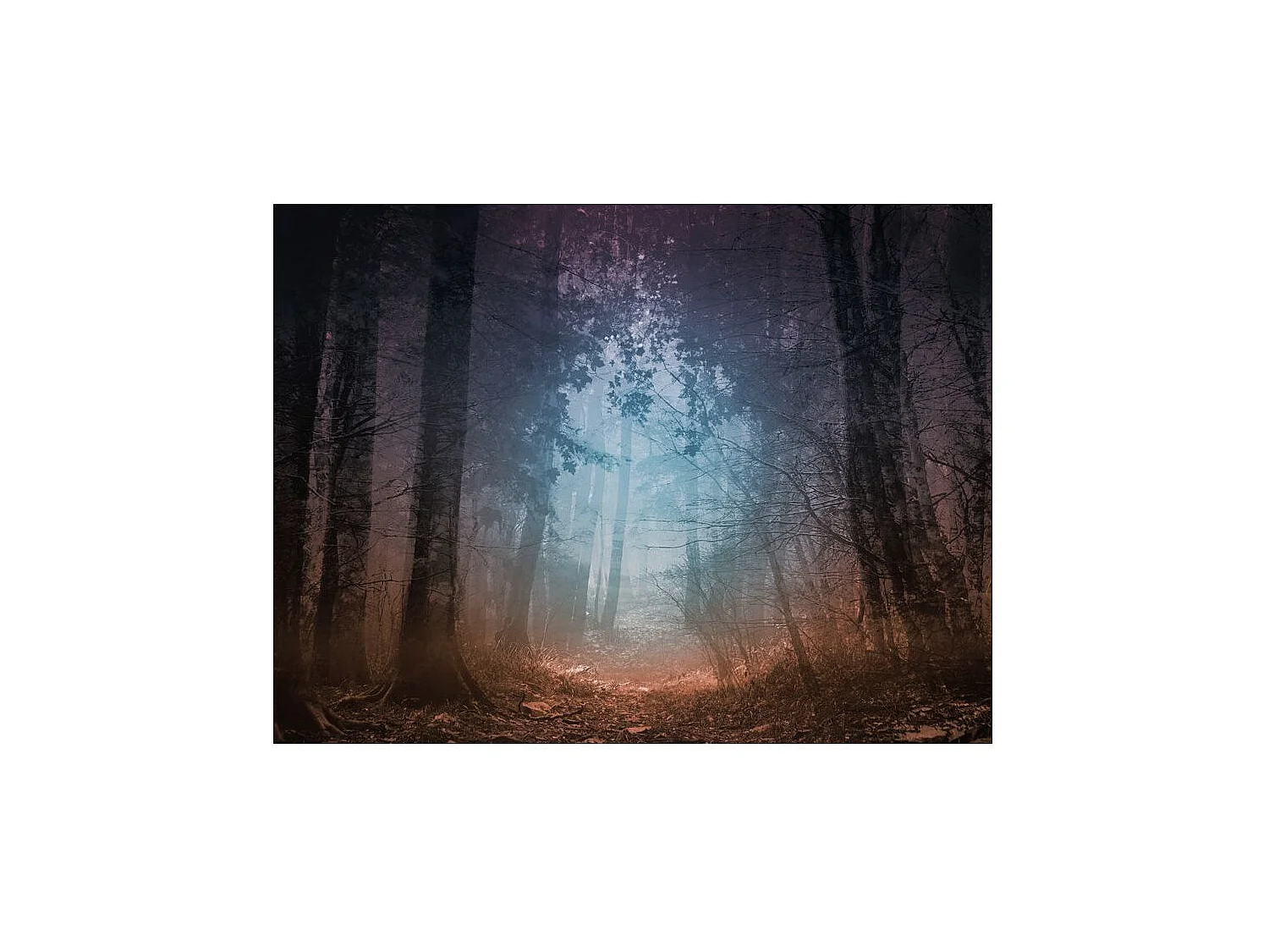 Papier Peint "Keep Breathing" 270 x 350 cm