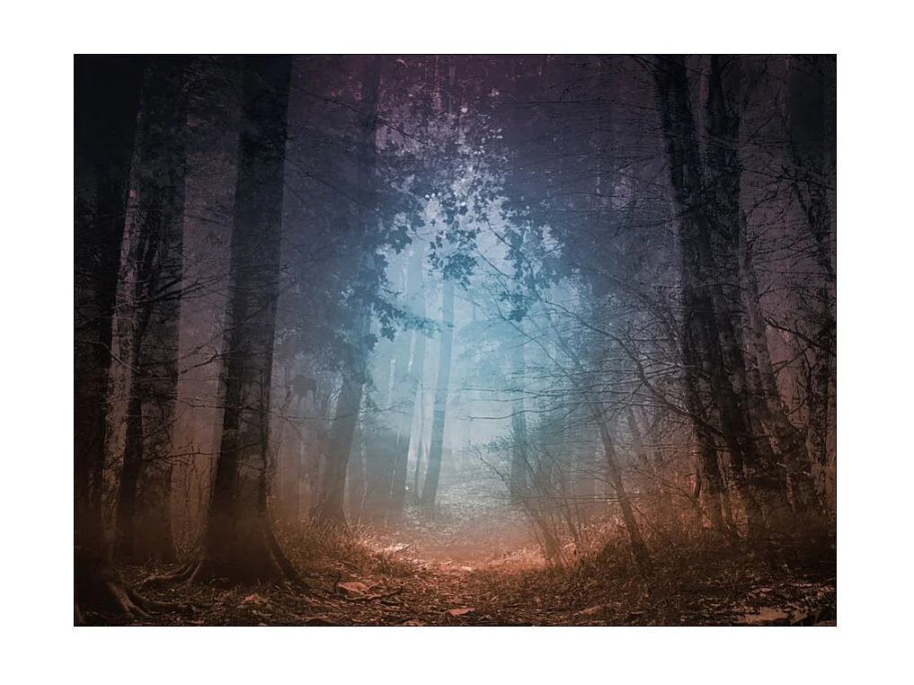 Papier Peint "Keep Breathing" 270 x 350 cm