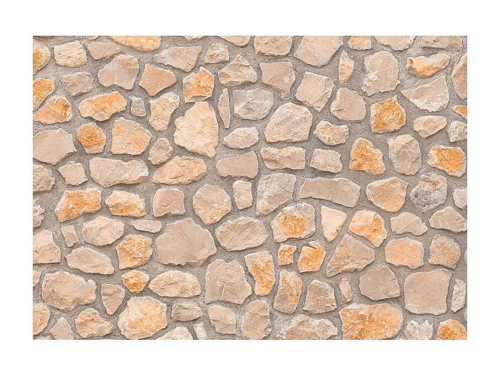 Papier Peint "Stone Age" 245 x 350 cm