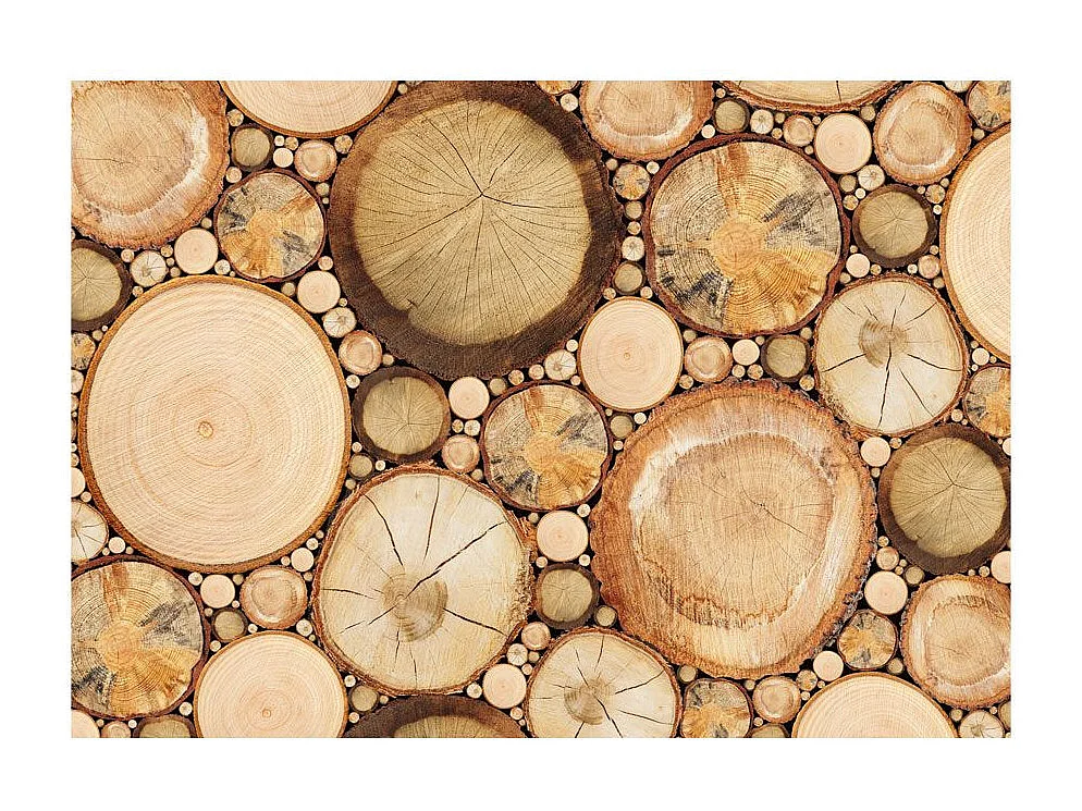 Papier Peint "Grains de Bois" 70 x 100 cm