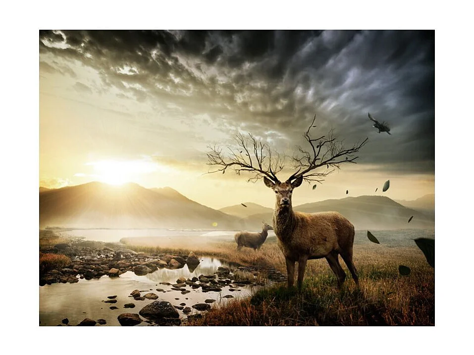 Papier Peint "Cerf & Ruisseau de Montagne" 270 x 350 cm