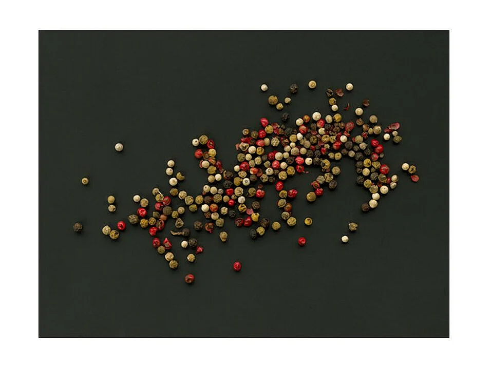 Papier Peint "Composition des Grains de Poivre" 231 x 300 cm