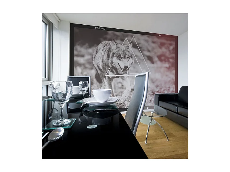 Papier Peint "Loup Photographie" 231 x 300 cm