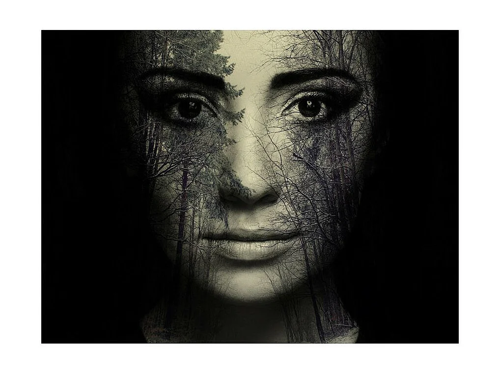 Papier Peint "Forest Mask" 270 x 350 cm