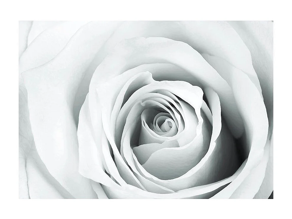 Papier Peint "Rose Charade" 140 x 200 cm