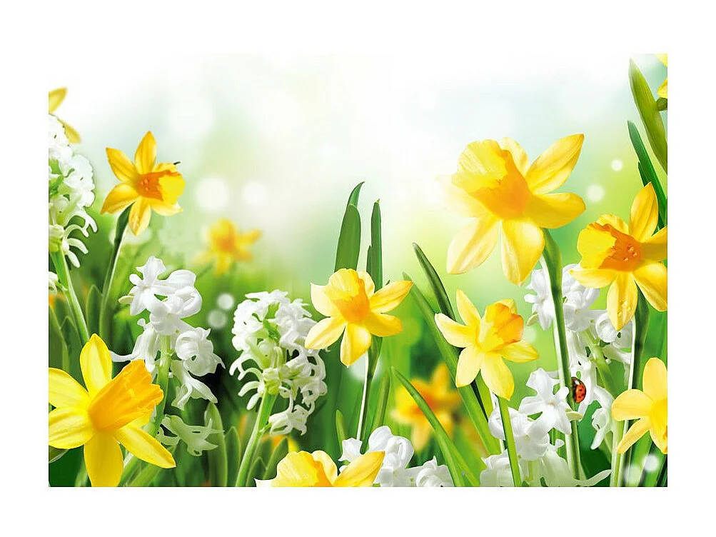 Papier Peint "Spring Walk" 210 x 300 cm