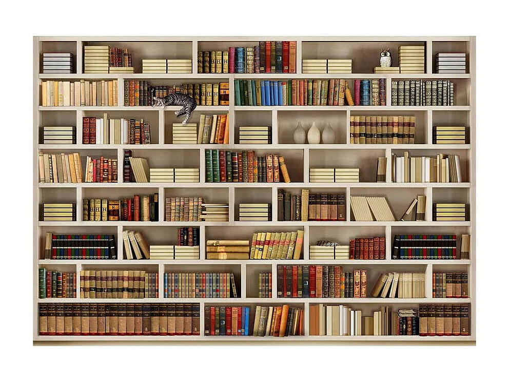 Papier Peint "Bibliothèque Domestique" 175 x 250 cm