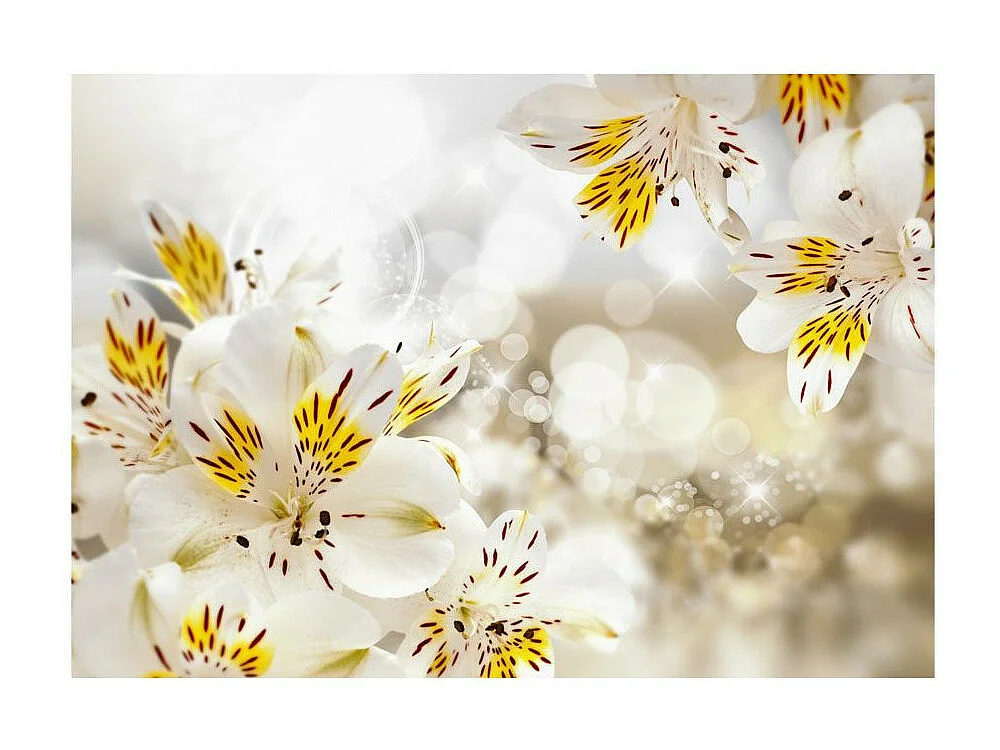 Papier Peint "Sunny Alstroemeria" 175 x 250 cm