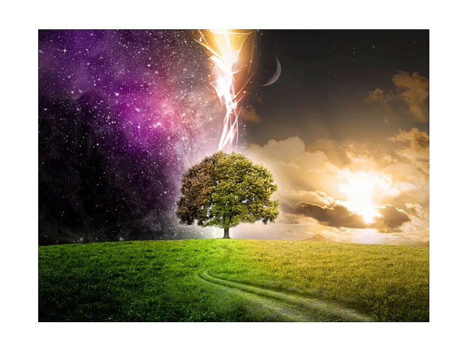 Papier Peint "Magic Tree" 154 x 200 cm