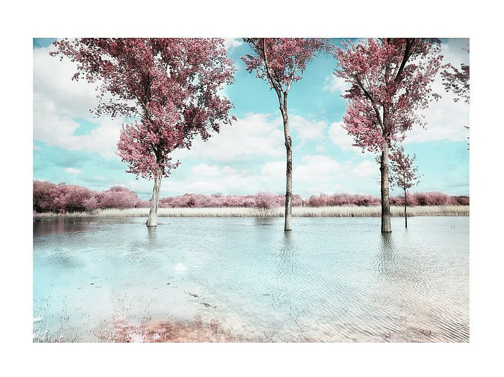 Papier Peint "Autumn Scenery" 70 x 100 cm