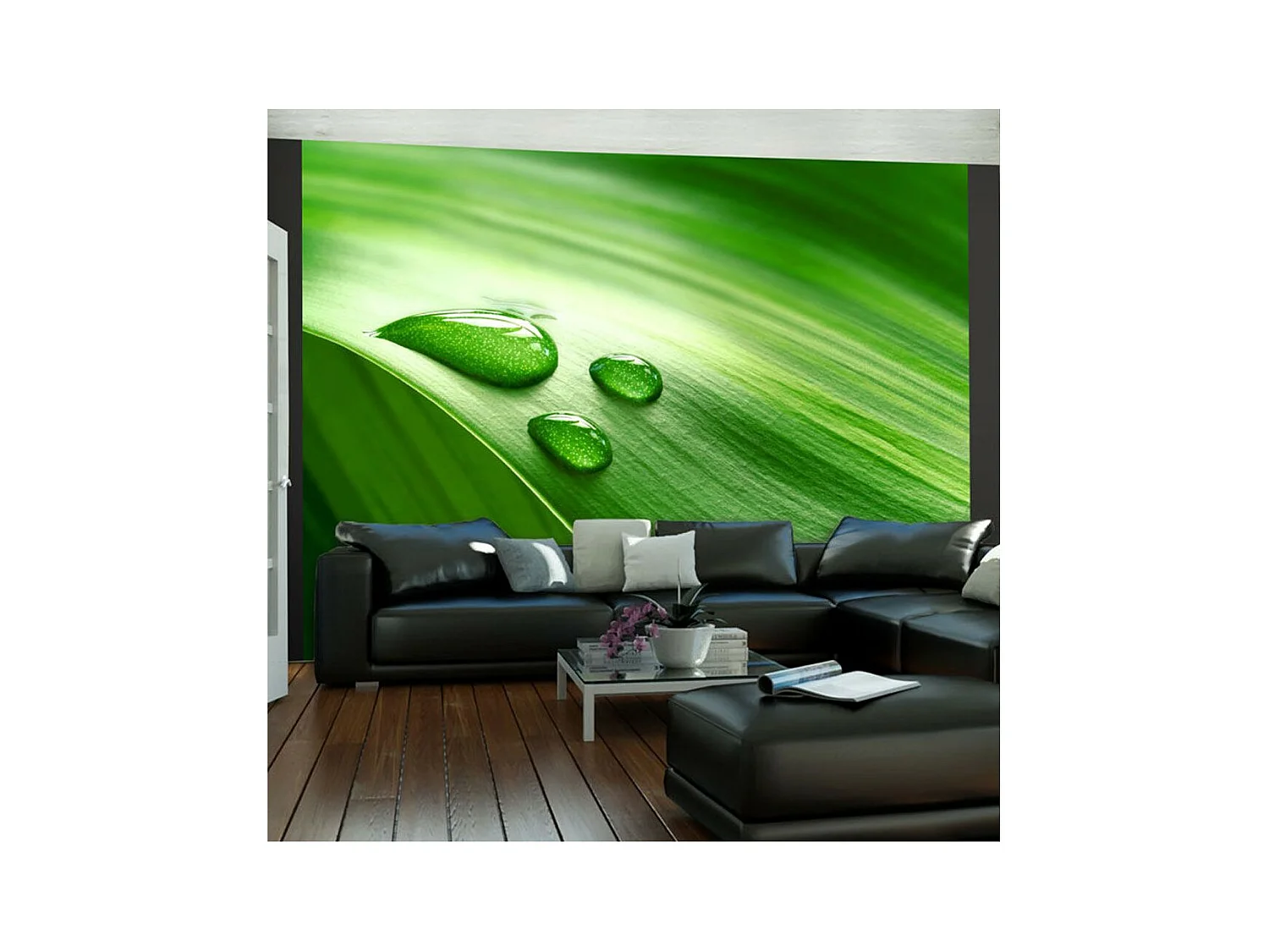 Papier Peint "Feuille & Trois Gouttes d'Eau" 193 x 250 cm