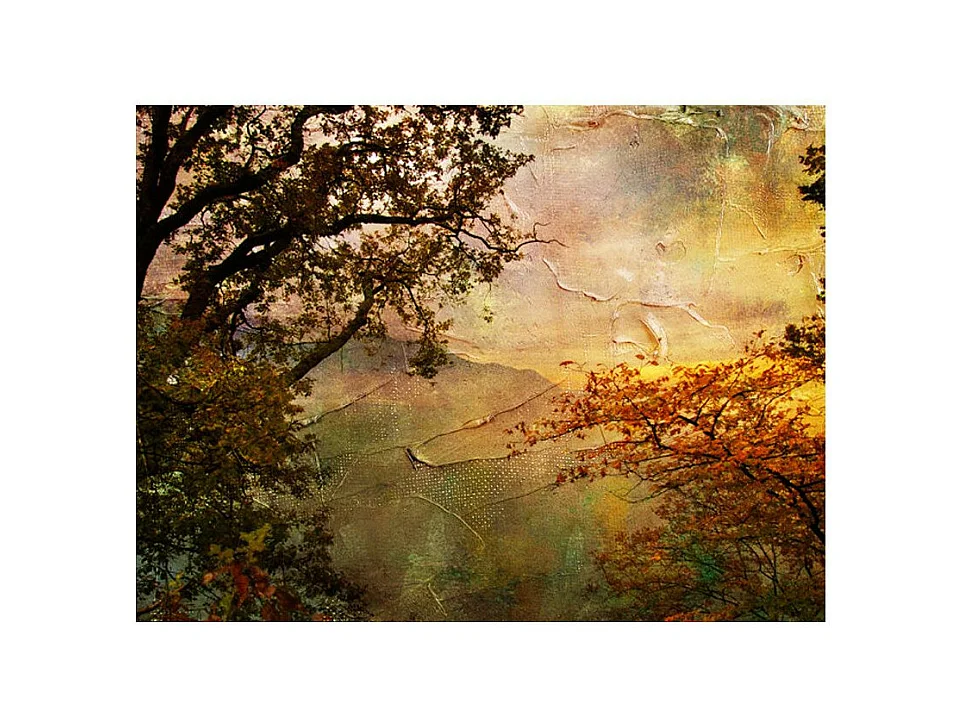 Papier Peint "Painted Autumn" 231 x 300 cm