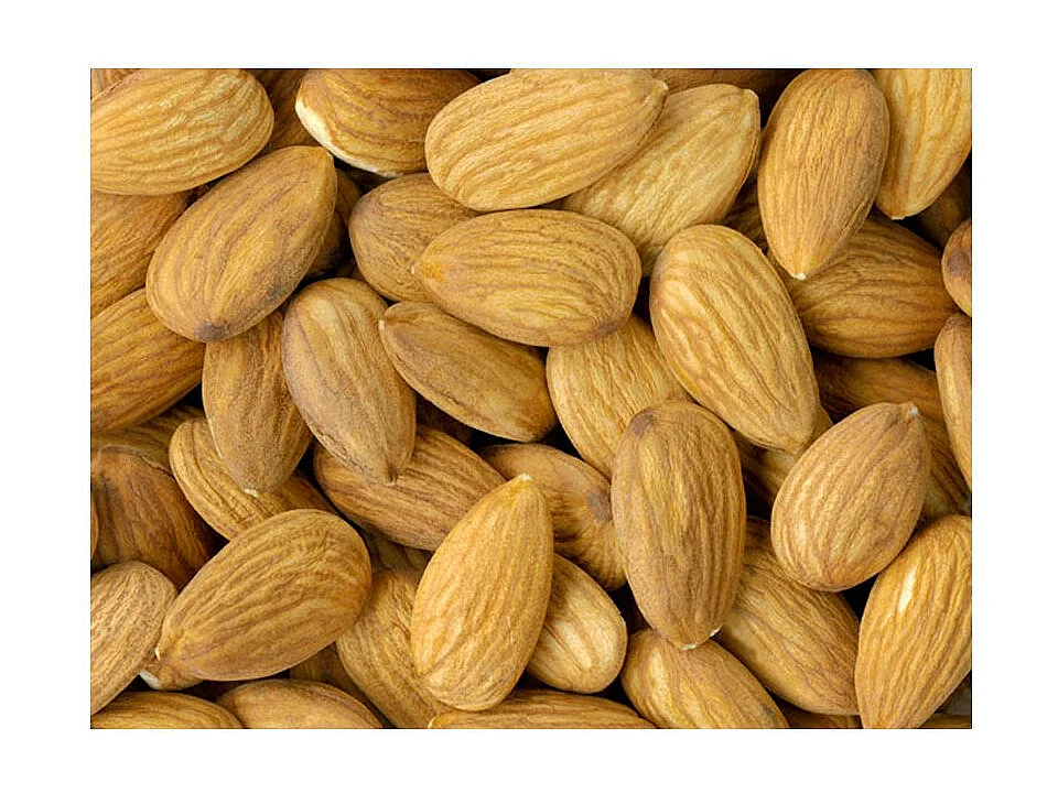 Papier Peint "Tasty Almonds" 231 x 300 cm