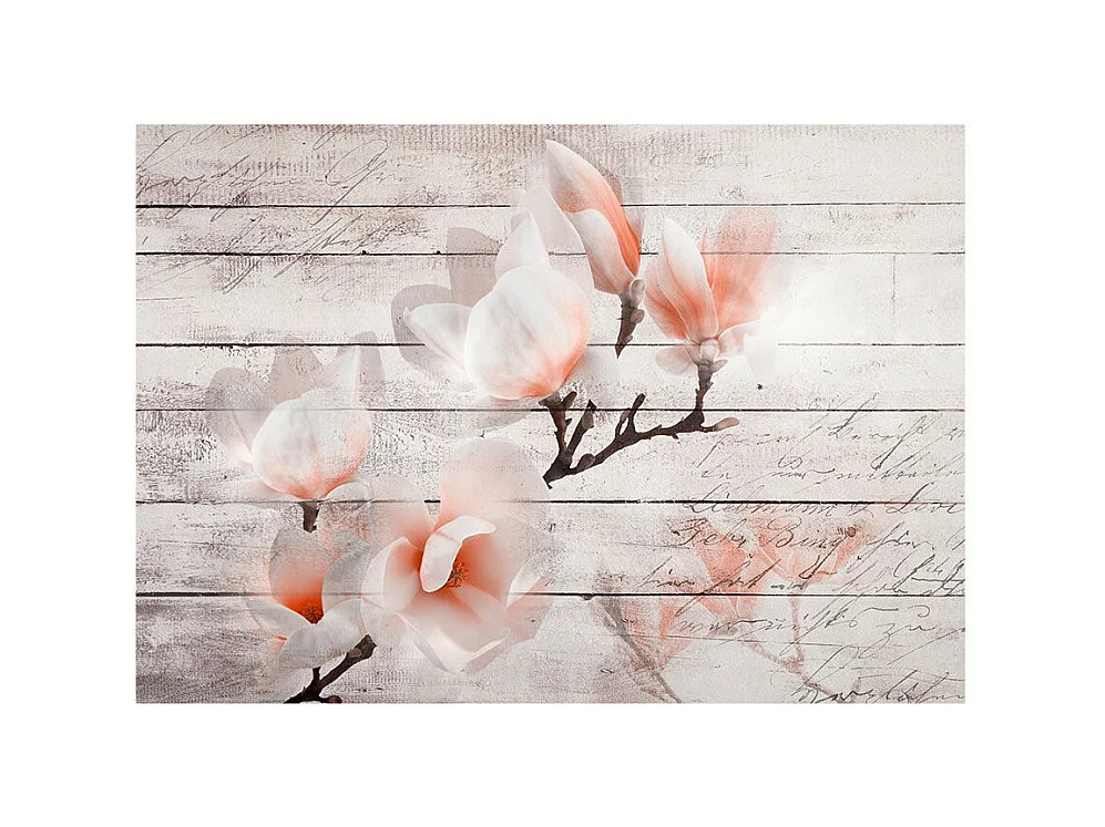 Papier Peint "Subtlety of the Magnolia" 70 x 100 cm