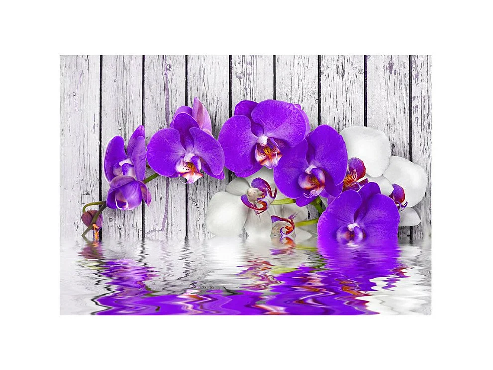 Papier Peint "Dormant Instincts" 70 x 100 cm