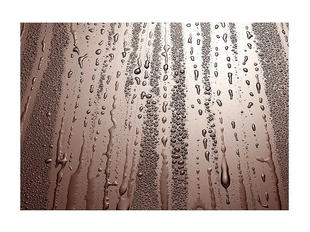 Papier Peint "Autumn Drizzle" 210 x 300 cm
