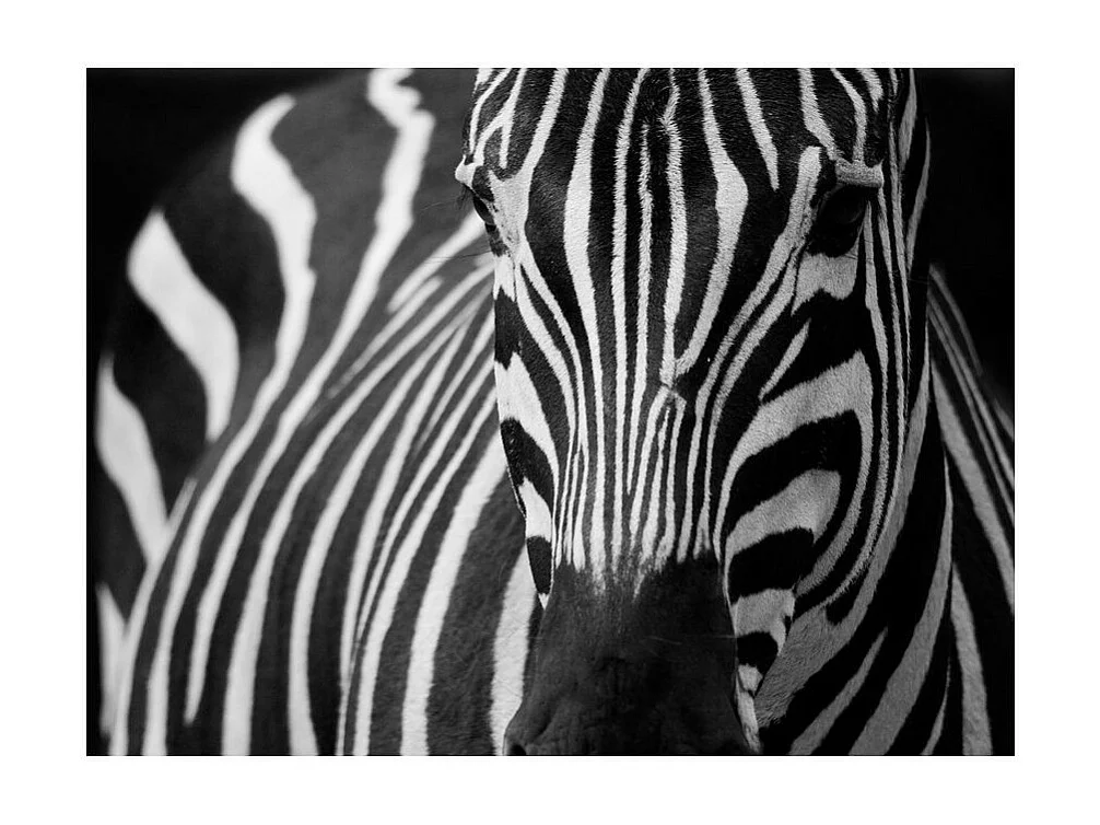 Papier Peint "Blanc à Rayures Noires" 154 x 200 cm