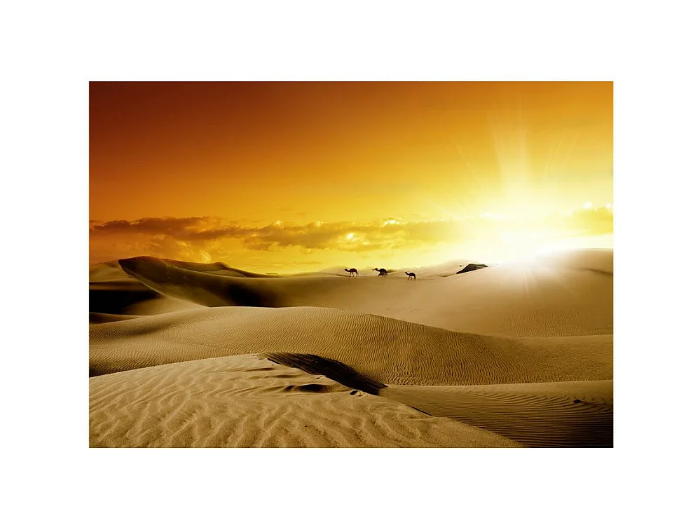 Papier Peint "March of Camels" 70 x 100 cm