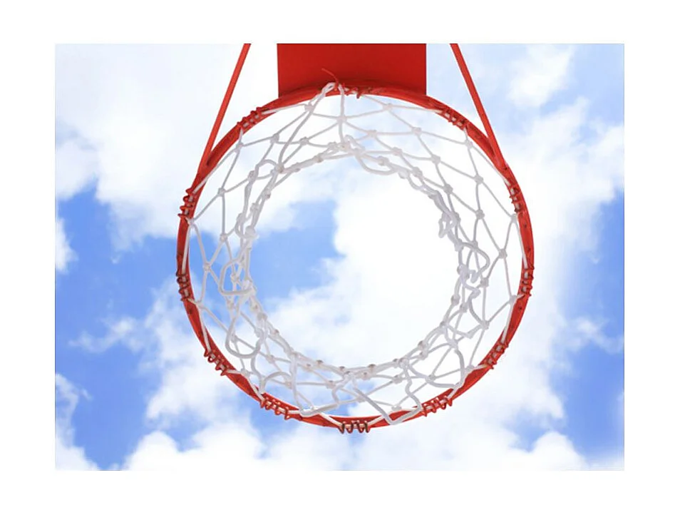 Papier Peint "Basketball" 193 x 250 cm